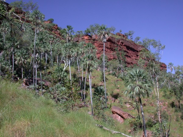 Joe Creek Walk